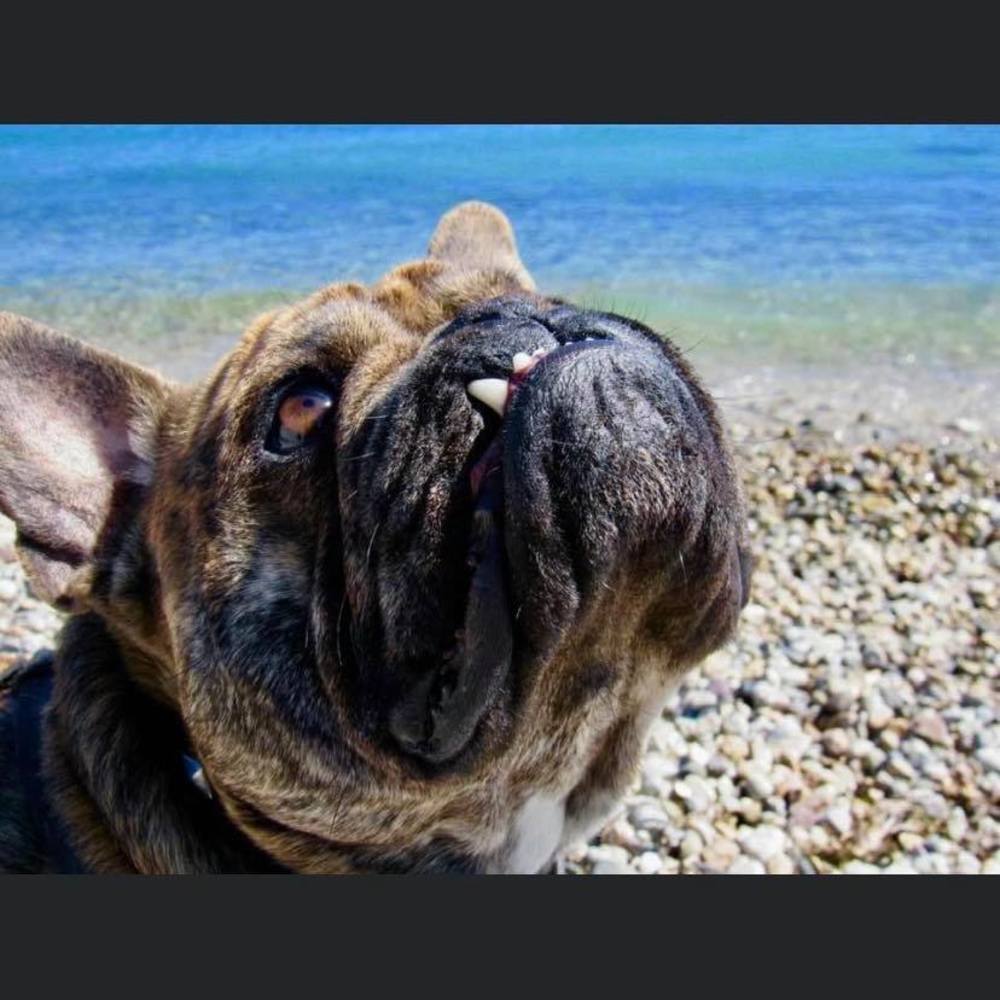 Meet your Posher, Jodi